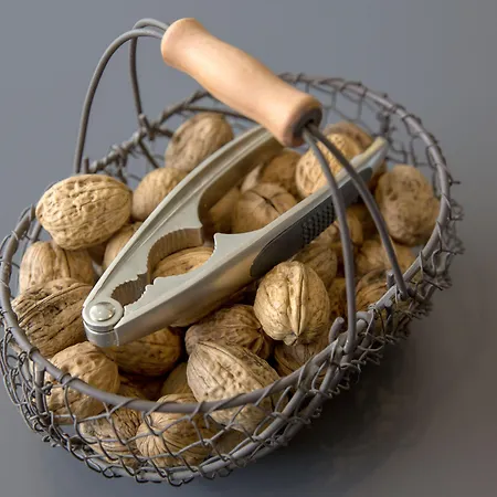 Bristol Logis Cit'hotel Centre Hotel 3*