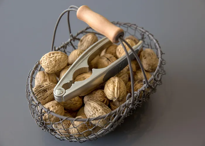 Bristol Logis Cit'hotel Centre فندق 3*