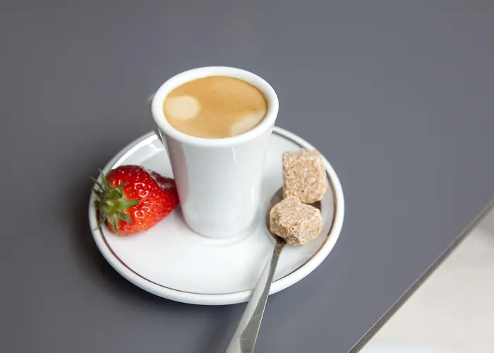 Bristol Logis Cit'hotel Centre فندق Périgueux